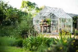 Purchase Organic Upcoming: Check out Greenhouses available today post thumbnail image