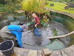 Renew, Repair, Restore: Premier Pond Repair Services at Your Service post thumbnail image