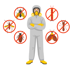 Residential and Commercial Pest Control in Las Vegas post thumbnail image