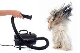 Spoil Your Pooch: The Supreme Self-help guide to Finding the right Dog Hair Dryer post thumbnail image
