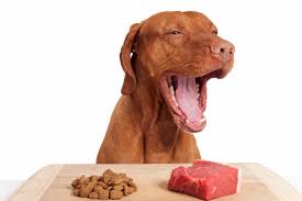Raw Dog Food Options: Choosing Quality Ingredients post thumbnail image