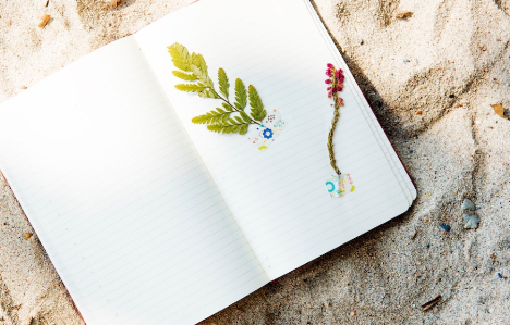 Cultivating Thankfulness: Exploring the Power of a Gratitude Journal post thumbnail image