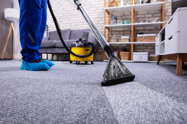 Expert Carpet Cleaning in Smyrna, TN: Refresh Your Home Today post thumbnail image