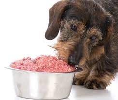 Real Dog Food: Nourishing Canines with Raw, Natural Ingredients post thumbnail image